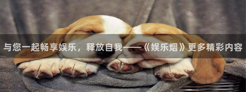 AB娱乐：与您一起畅享娱乐，释放自我——《娱乐烟》更多精彩内容