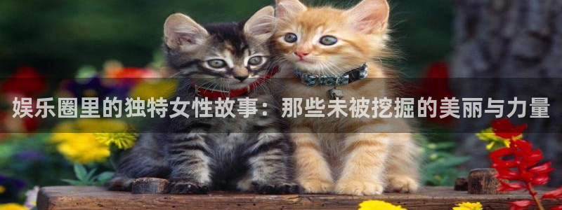 AB娱乐：娱乐圈里的独特女性故事：那些未被挖掘的美丽与力量