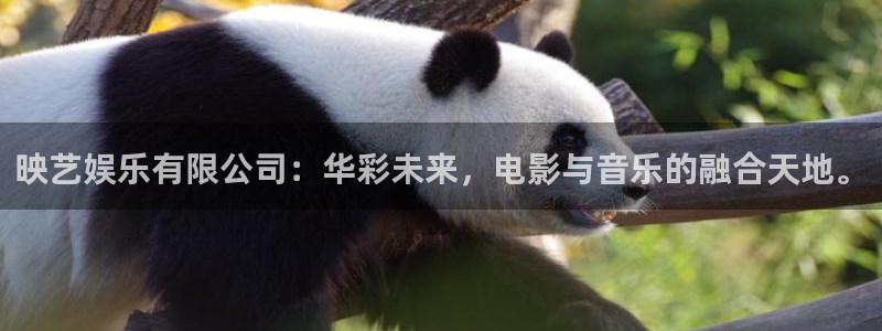 AB娱乐