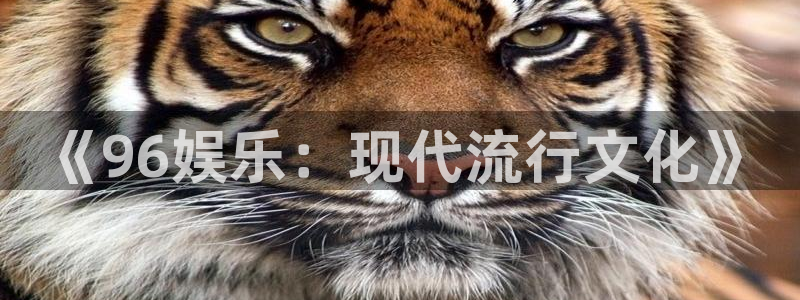 AB娱乐：《96娱乐：现代流行文化》