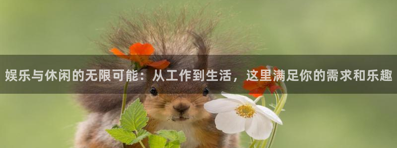 AB娱乐：娱乐与休闲的无限可能：从工作到生活，这里满足你的需求和乐趣