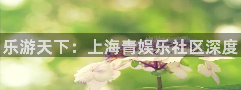 AB娱乐：乐游天下：上海青娱乐社区深度