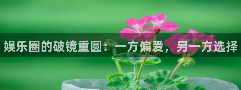 AB娱乐：娱乐圈的破镜重圆：一方偏爱，另一方选择